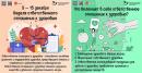 с 9-15 декабря Неделя ответственного отношения к здоровью