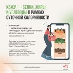 Фотодокумент 48 Фотодокумент 48